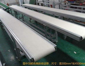 廠家直銷 高效可靠的食品自動化雙皮帶流水線解決方案